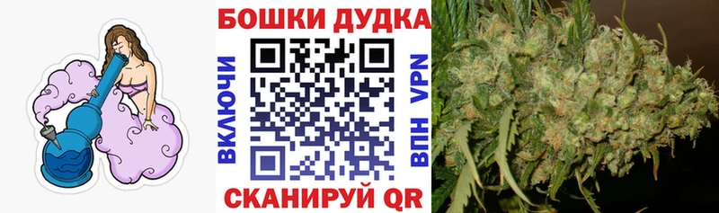 Бошки марихуана сатива  Купить закладки  Грайворон 